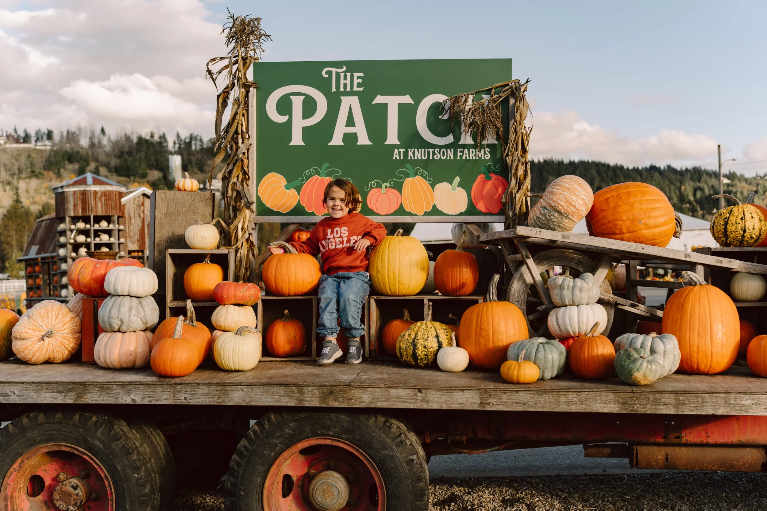 Jude%20at%20the%20Pumpkin%20Patch%20%7C%202024-7.jpg