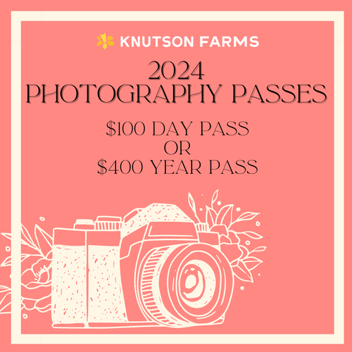 PHOTOGRAPHY PASSES — KNUTSON FARMS INC