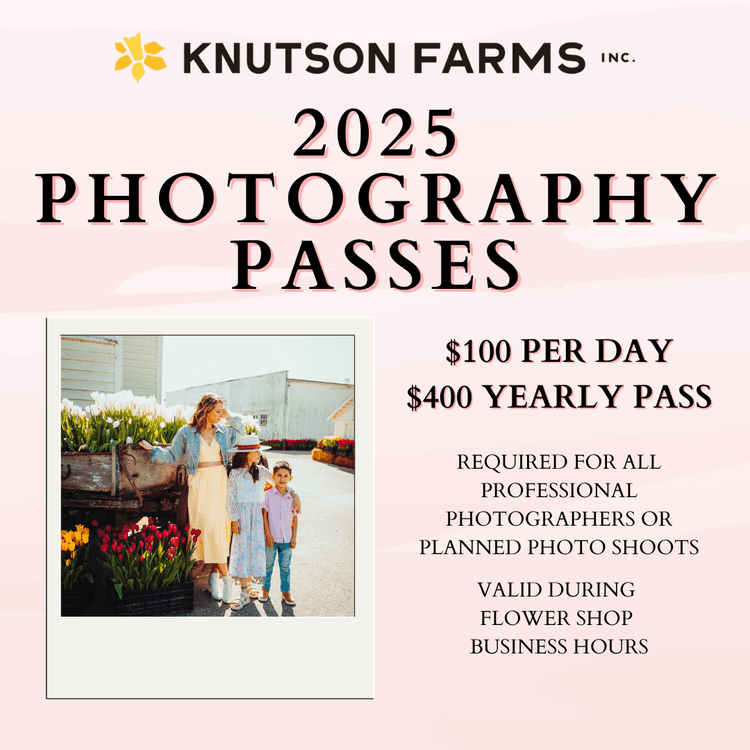 PHOTOGRAPHY PASSES — KNUTSON FARMS INC