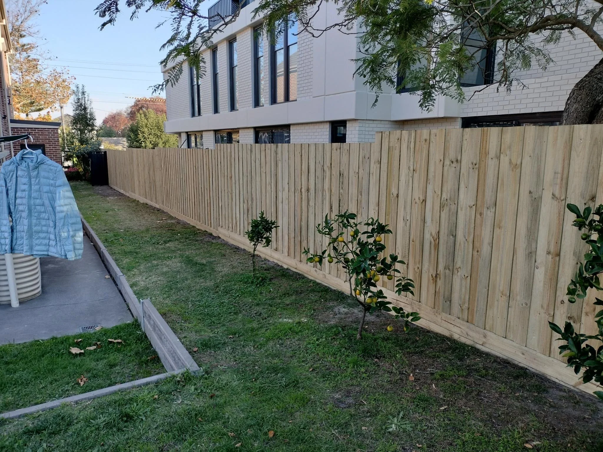 Timber Fencing Bacchus Marsh
