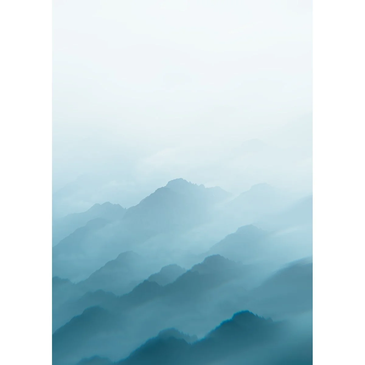 Sunji 15 - full.jpg