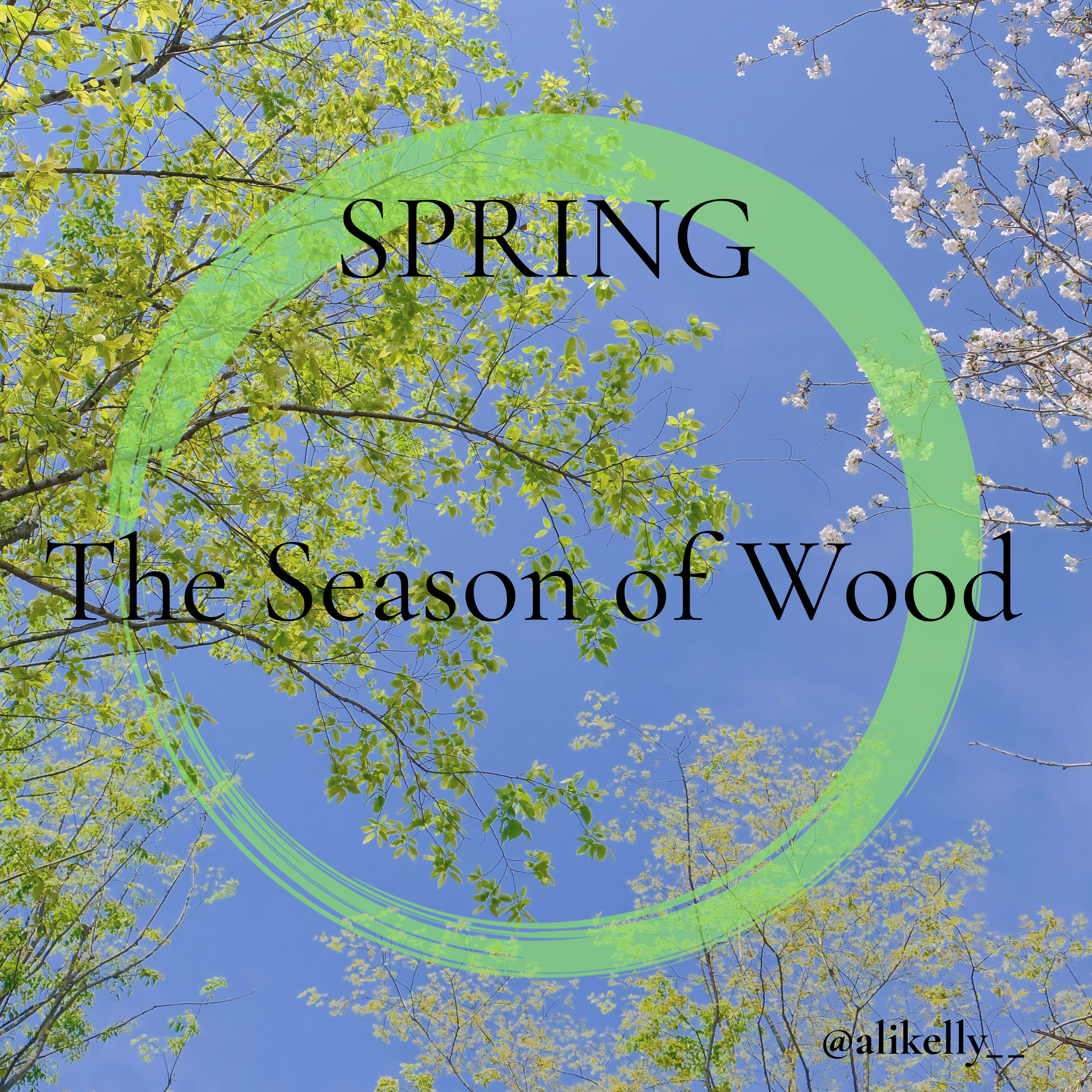 Spring the season of Wood 