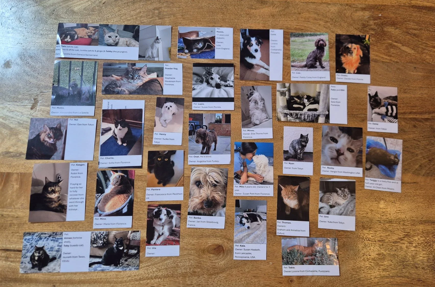 Celebrating St Francis and Creationtide.        Just a few of our pets that were blessed; photos sent in from around the world. 