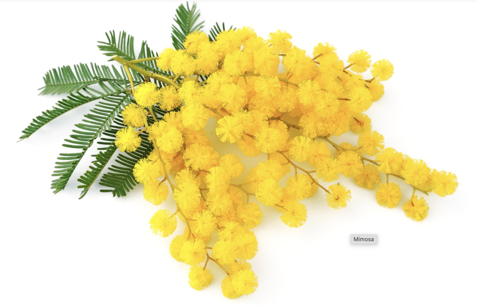 Choral Eucharist at 10.30am