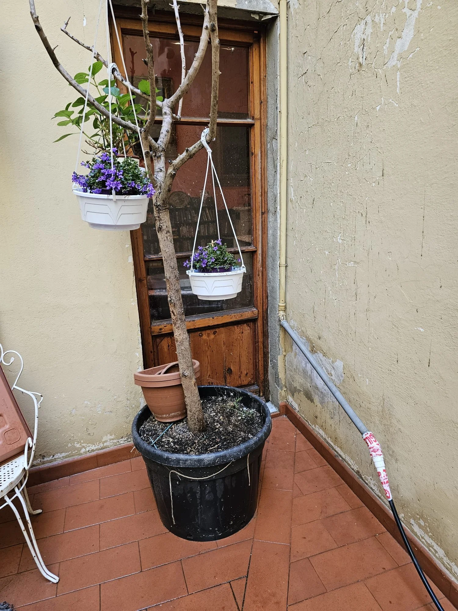 WhatsApp Image 2026-04-01 at 14.45.01 (4).jpeg