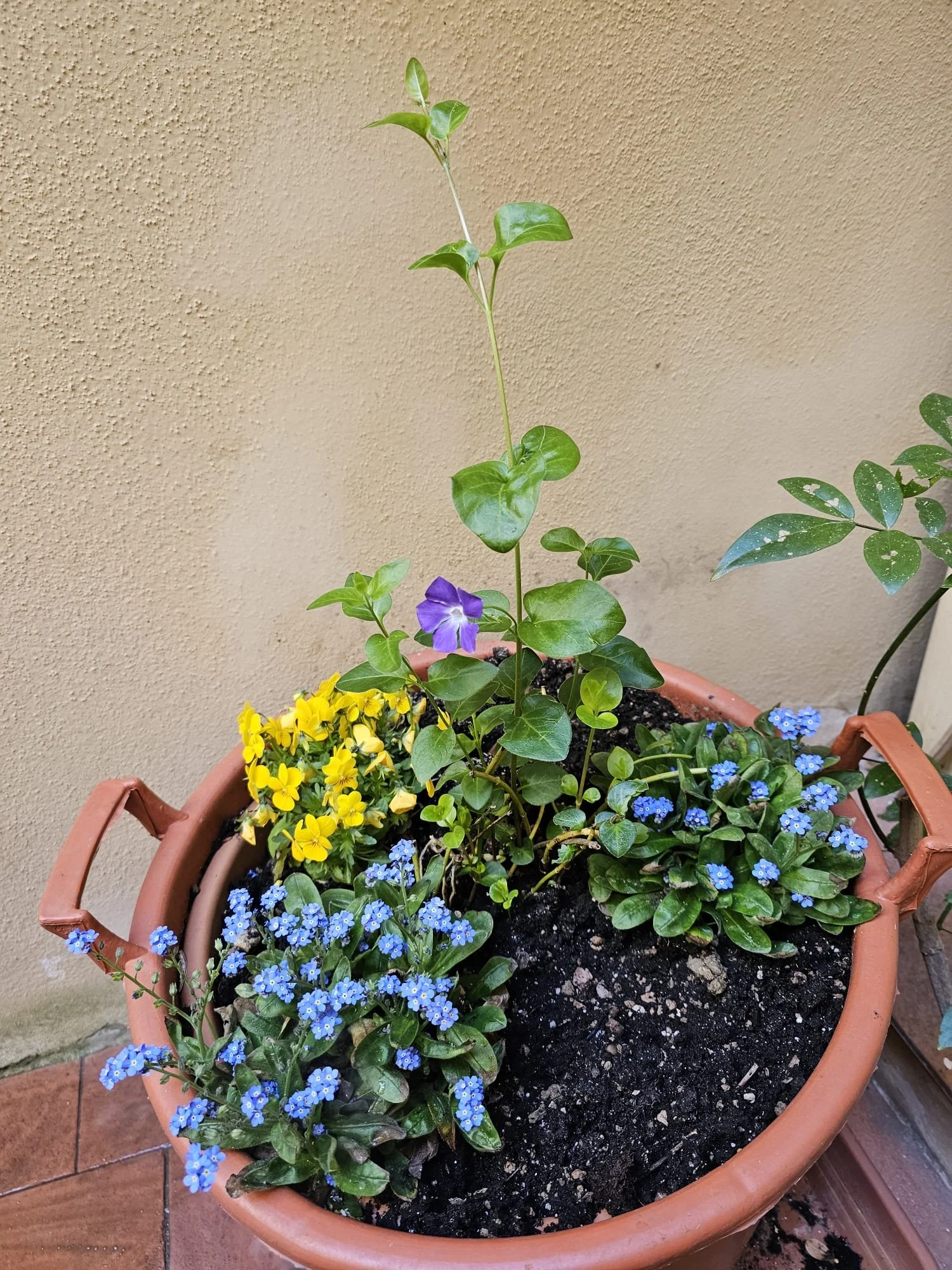 WhatsApp Image 2026-04-01 at 14.45.01.jpeg