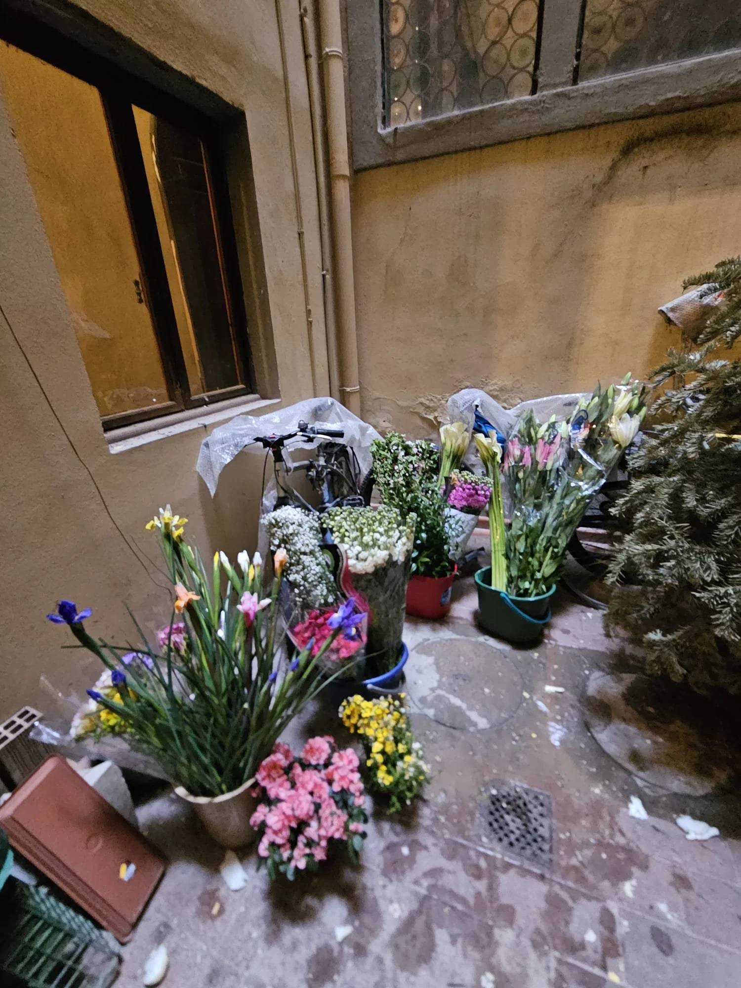 WhatsApp Image 2026-04-04 at 13.44.15 (2).jpeg