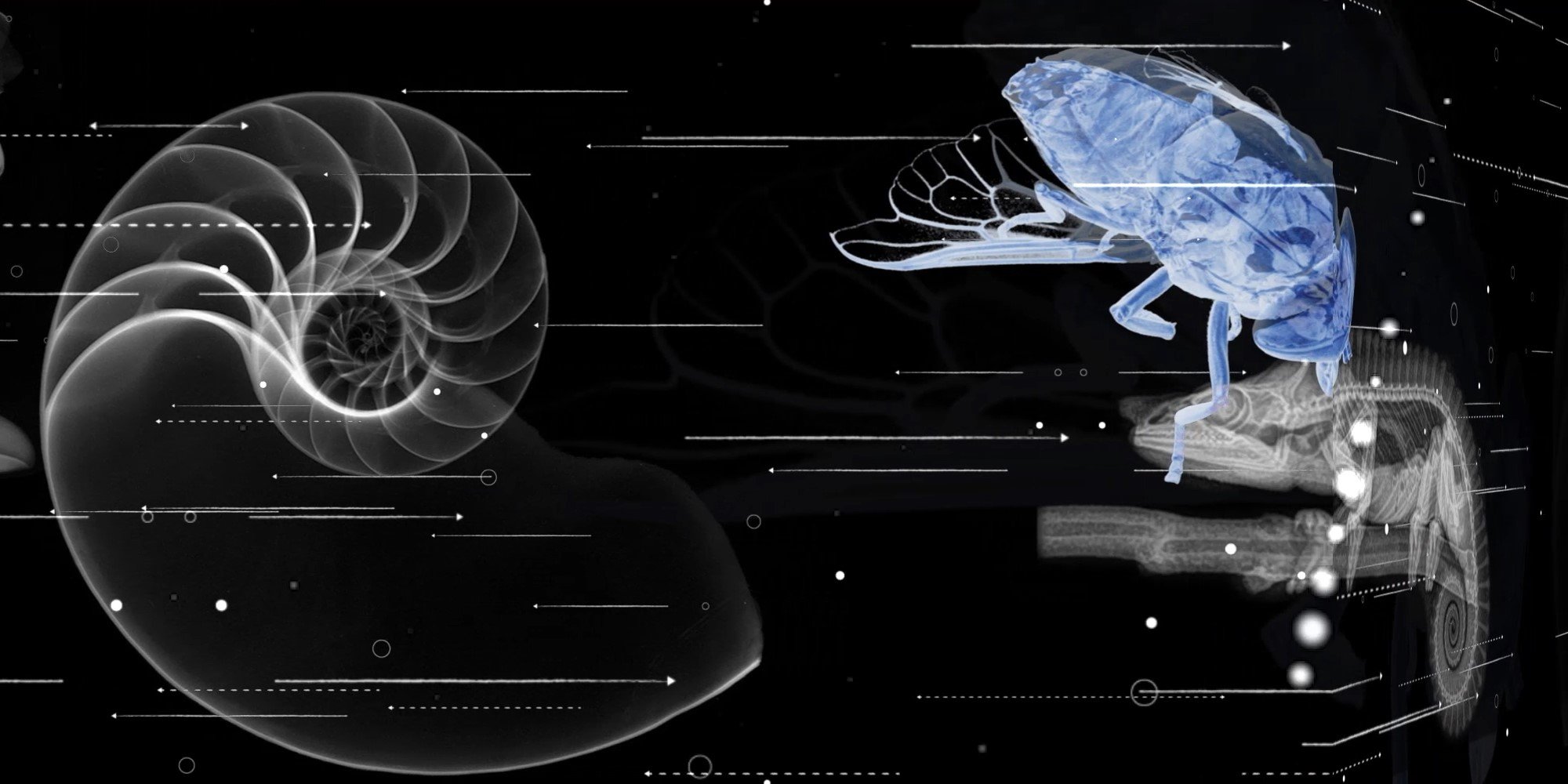 immaginario Scientifico.jpg