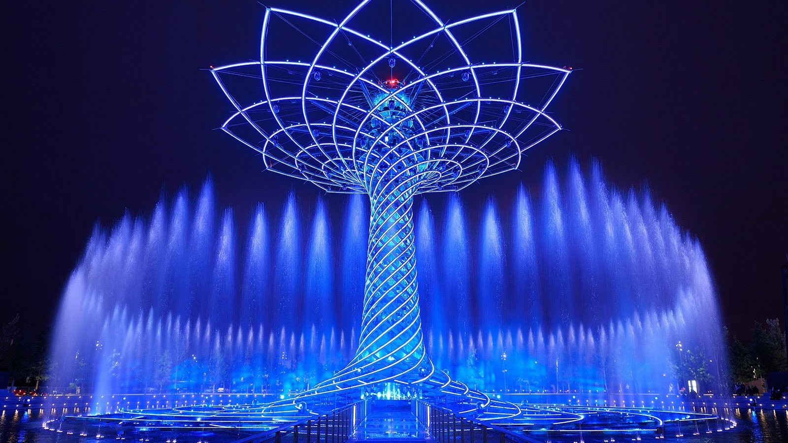 TreeOfLife.jpg