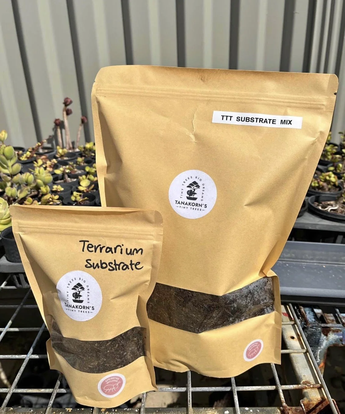 Tanakorn's Tiny Trees Terrarium Substrate Mix - 250g.
