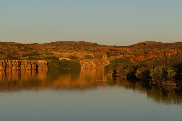 Pilbara Birding Tour Australia