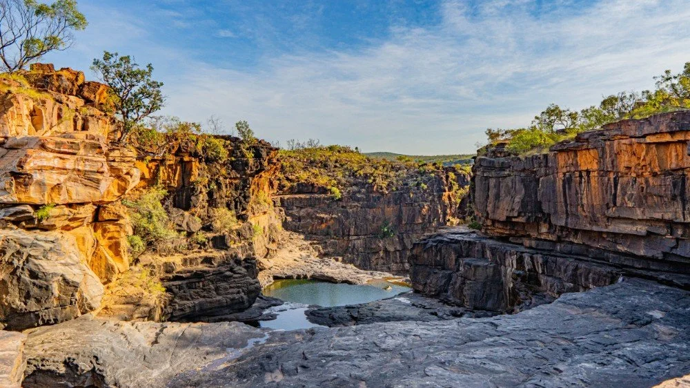 The Kimberley Birding Tour WA