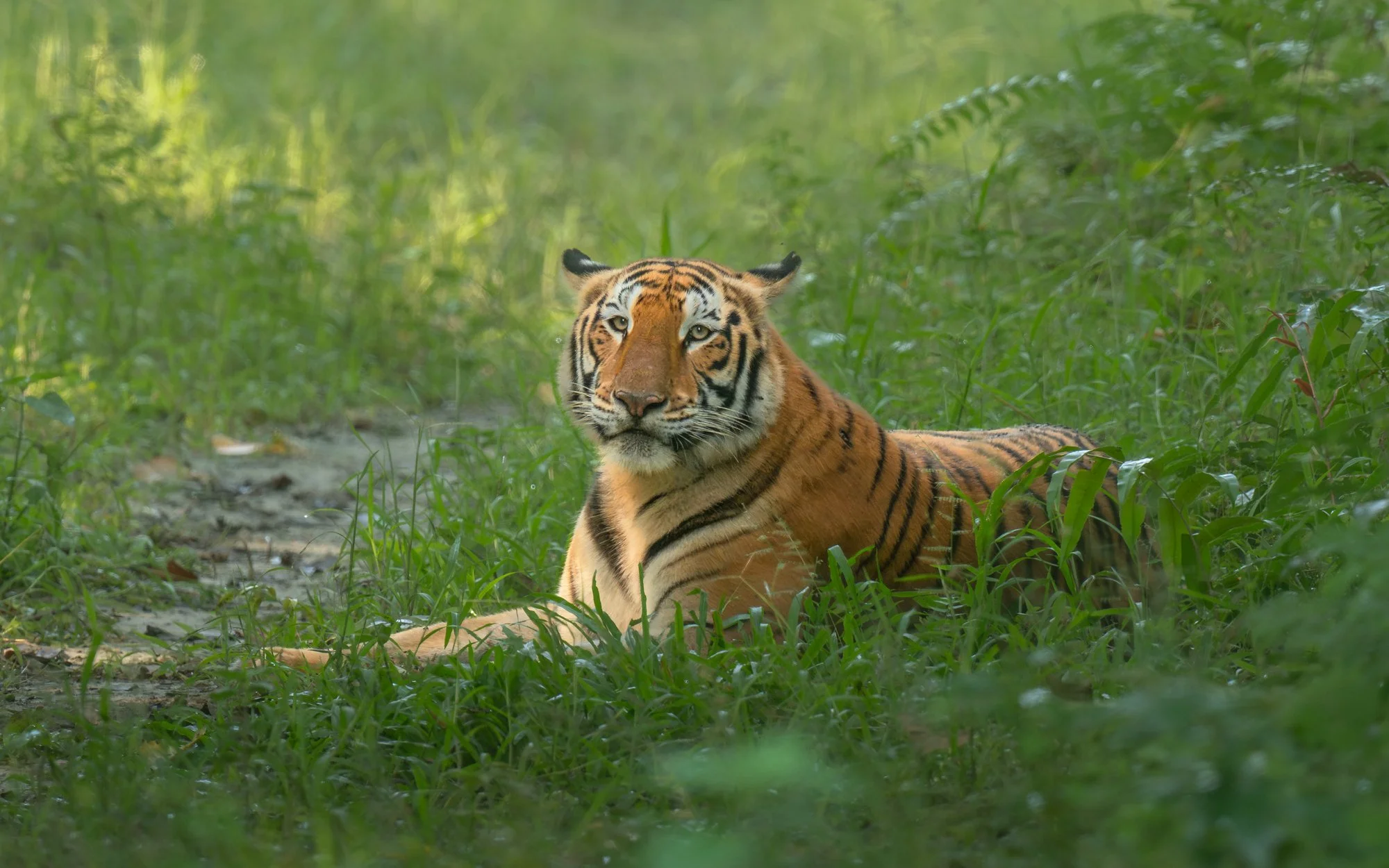 Best of 2024 Series- October-.jpg