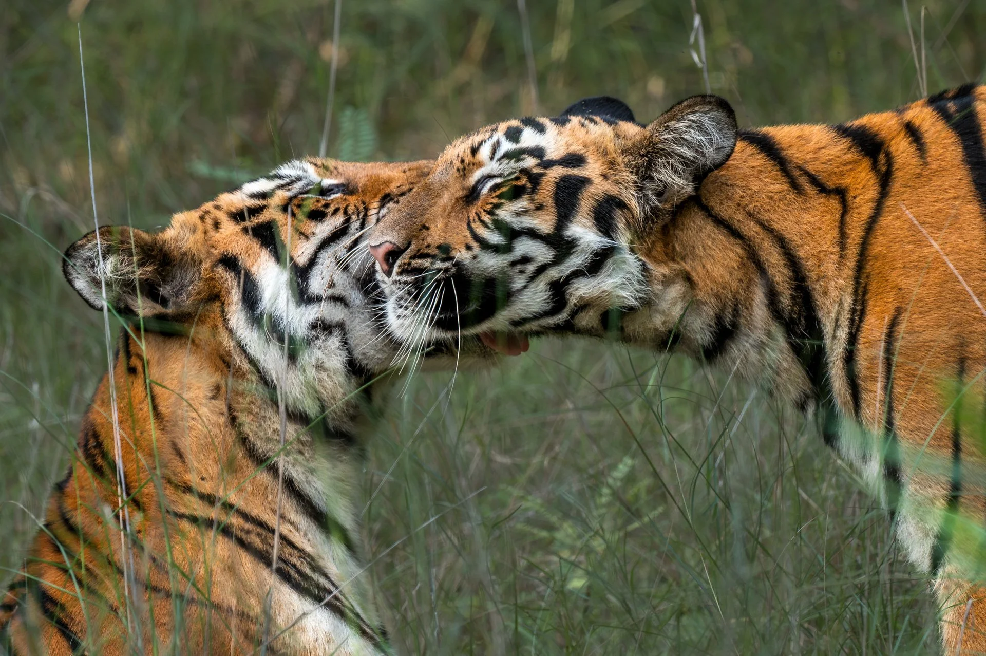 The Unbreakable Bond