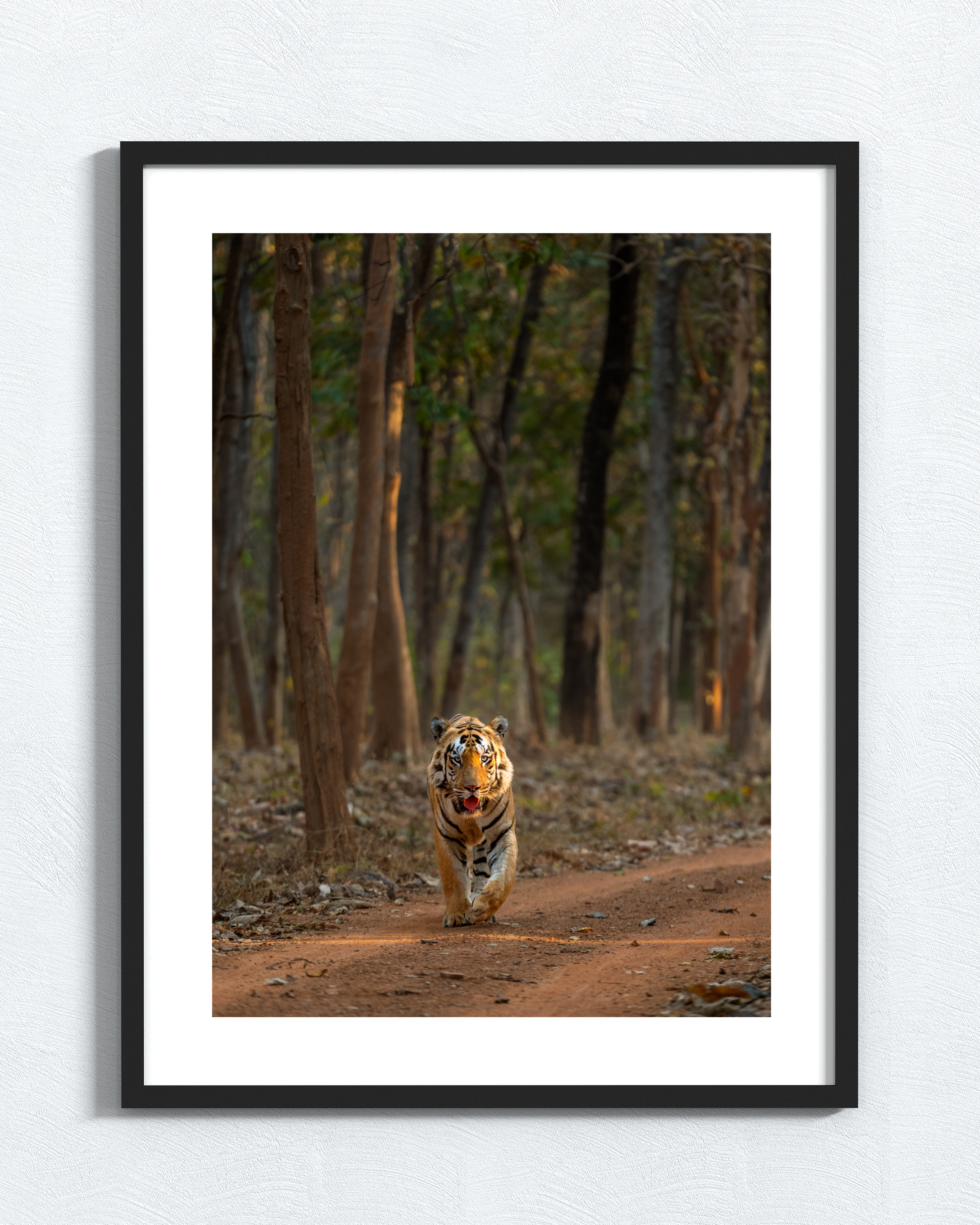 Vertical frame vertical size-2.png