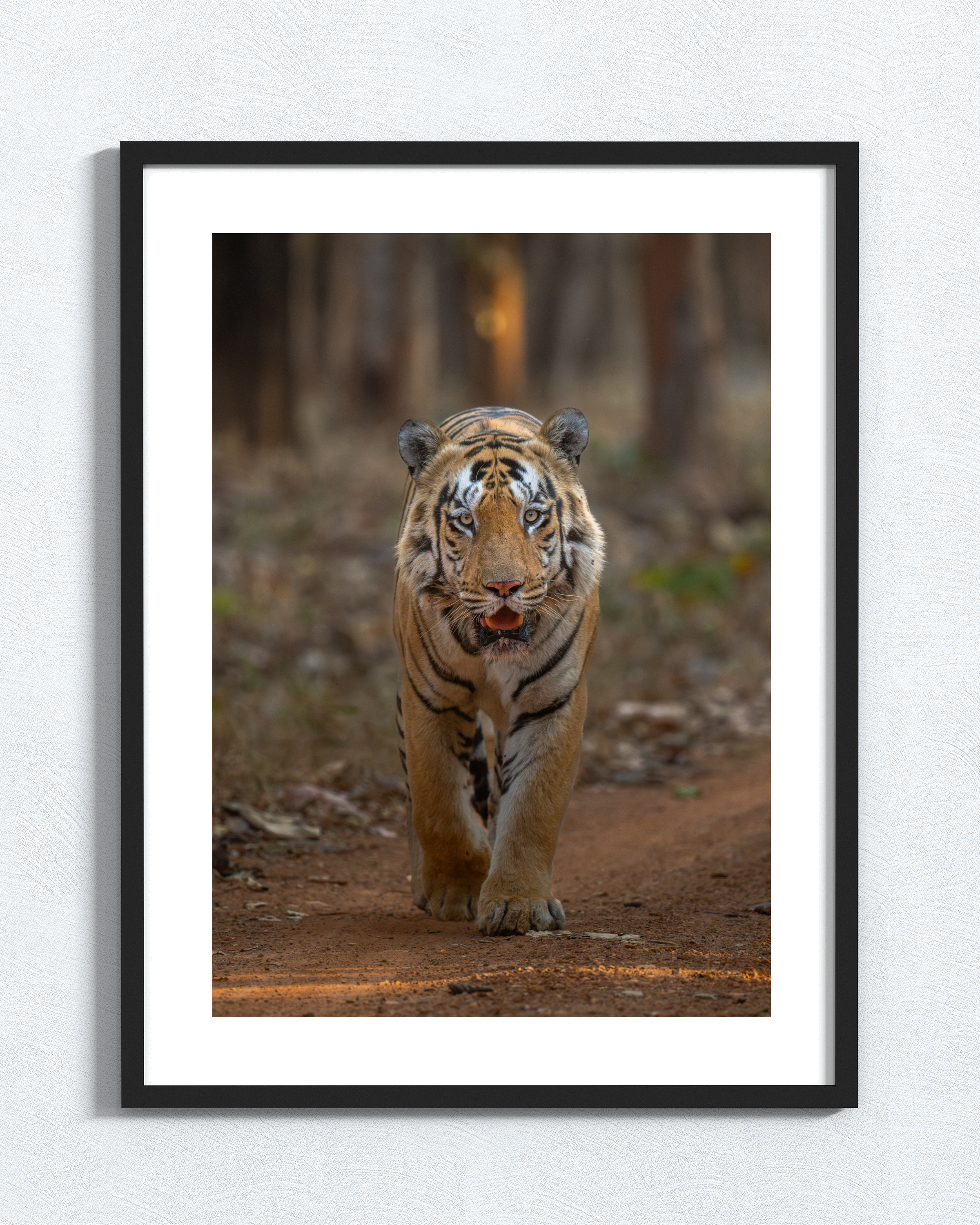 Vertical frame vertical size.png