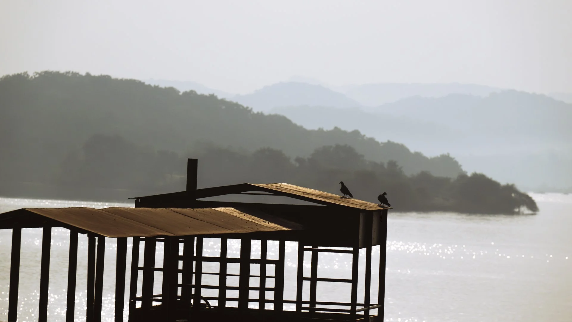 Dove scape 4593-.jpg