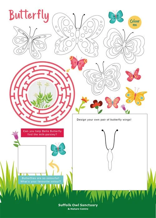 A butterfly-themed activity sheet featuring outlines of butterflies for coloring, a maze, flowers, and space for designing butterfly wings. Decorated with colorful butterflies, flowers, and grass, with prompts and fun facts about butterflies.