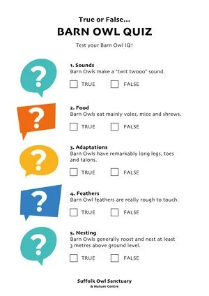 Barn Owl quiz with five true or false questions about barn owl sounds, food, adaptations, feathers, and nesting, from Suffolk Owl Sanctuary.