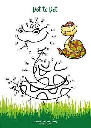 Dot to Dot activity sheet featuring a cartoon snake with a turtle in the background, green grass at the bottom, and the title 'Dot to Dot' at the top.