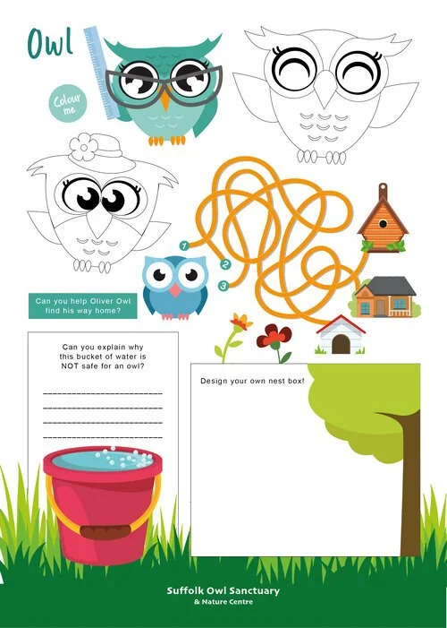 Coloring activity page featuring owls, a nest box, a bucket of water, and a scene with buildings and nature at Suffolk Owl Sanctuary. Includes prompts for helping an owl find its home, explaining why water in a bucket isn't safe for owls, and designing a nest box.