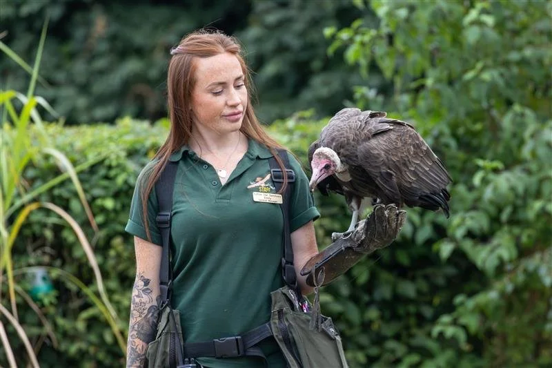 A woman with long reddish hair, wearing a green uniform shirt, holds a large bird of prey on her gloved hand outdoors with lush green foliage in the background.