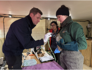 Screenshot 2025-05-06 at 15.54.03.png