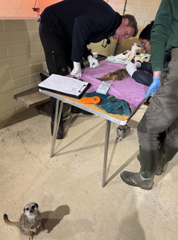 Screenshot 2025-05-06 at 15.54.12.png