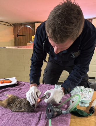 Screenshot 2025-05-06 at 16.03.35.png