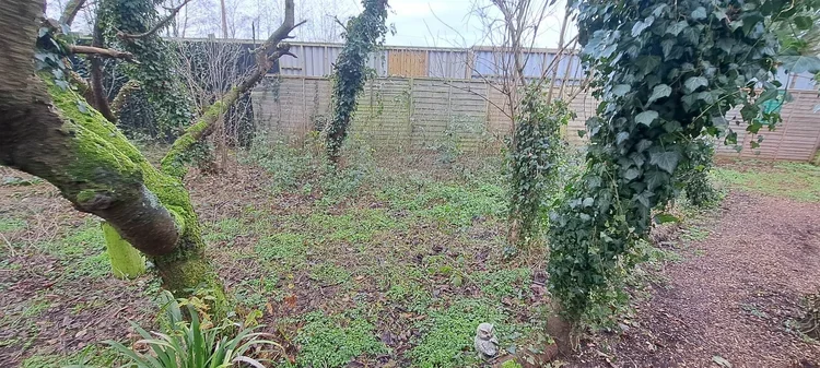 Woodland Walk gets a makeover