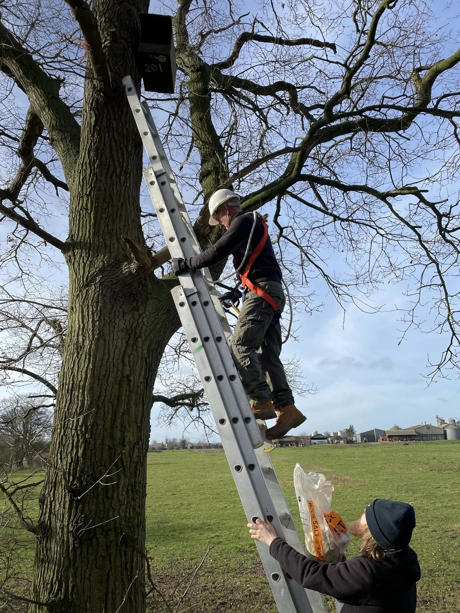 Nestbox checking underway