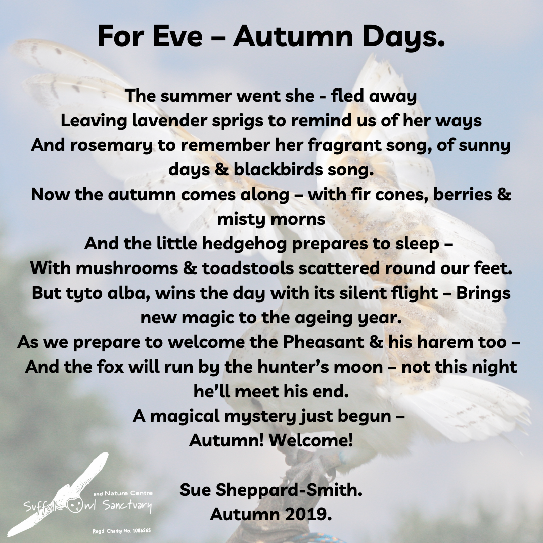 For Eve – Autumn Days.