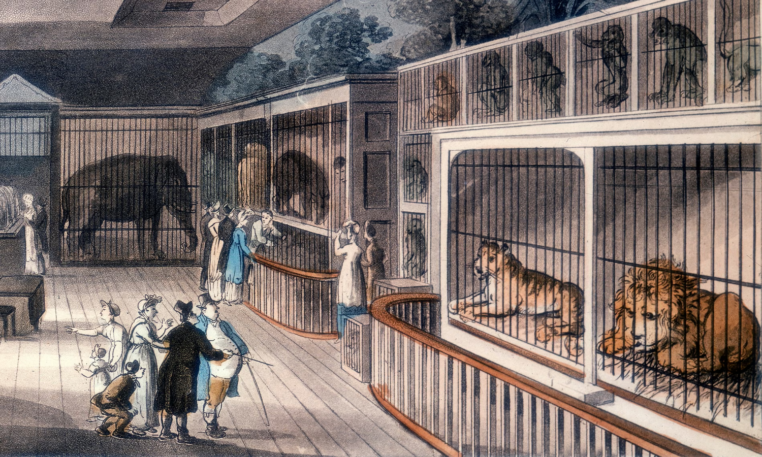 Modern Zoos- National Zoo Awareness Day