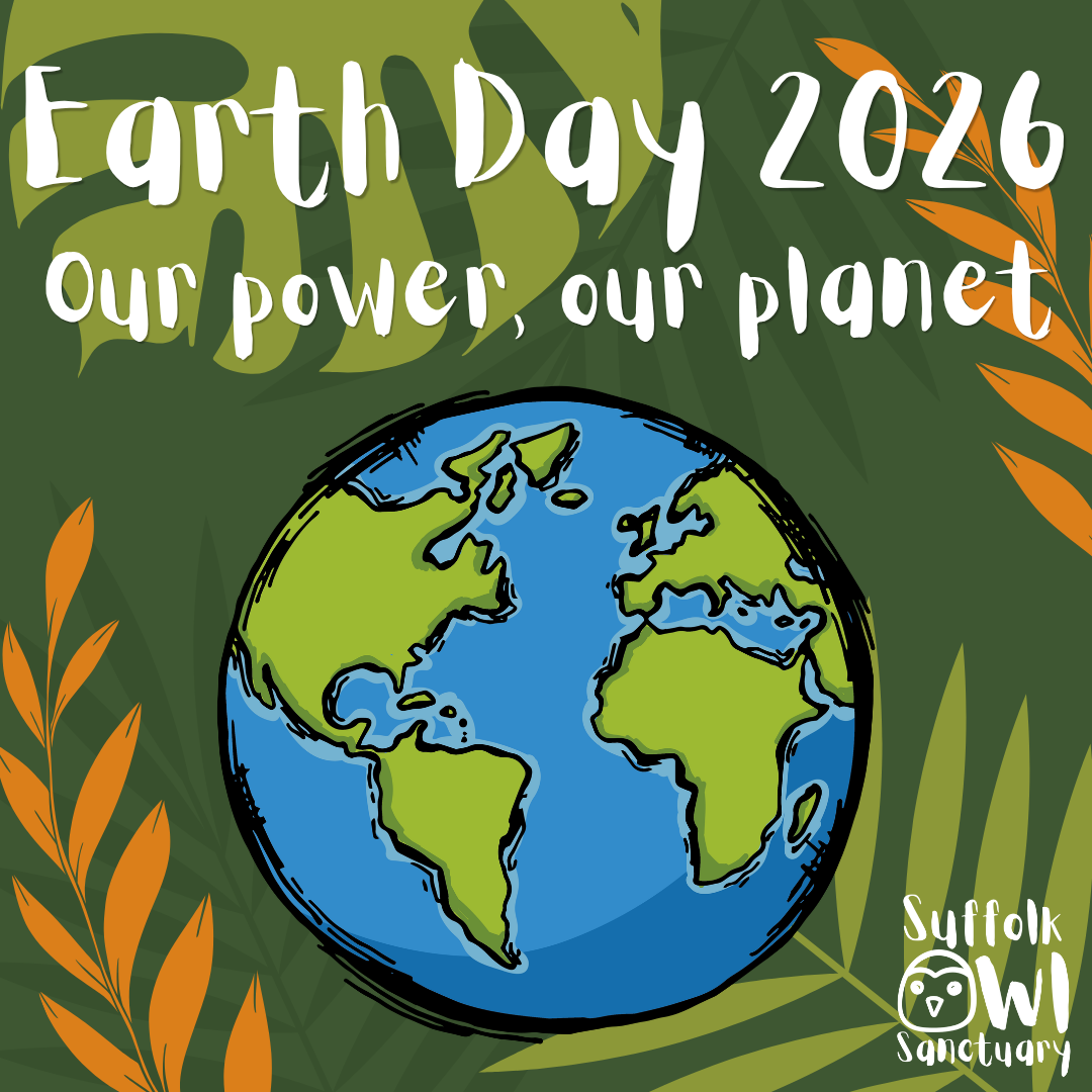 Earth Day 2026: Our Power, Our Planet