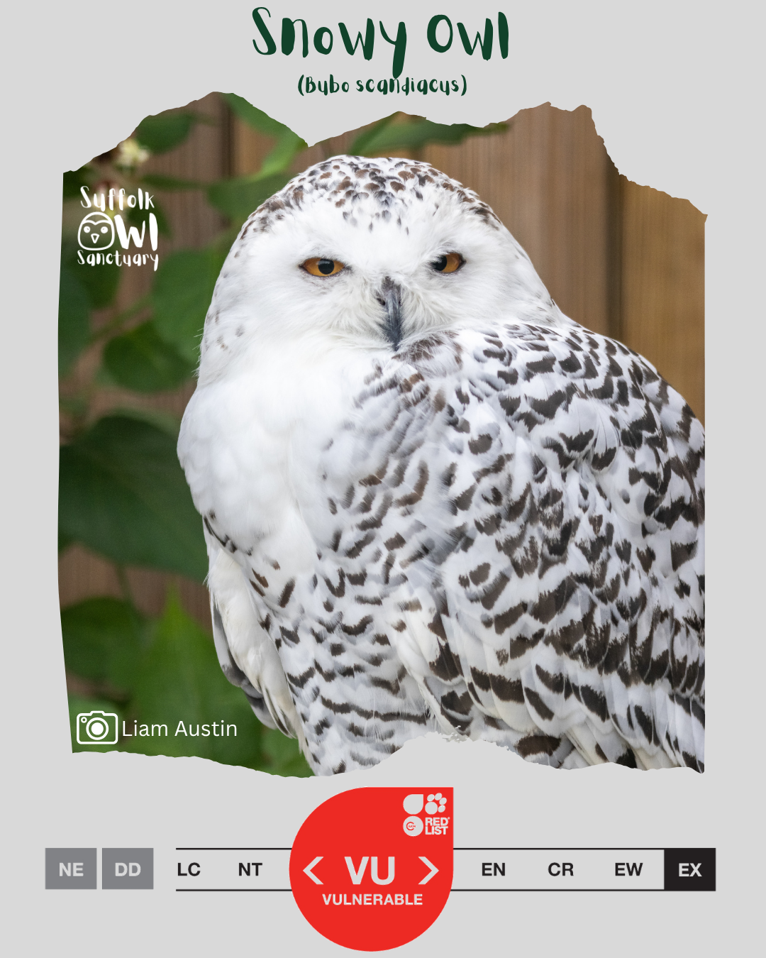 Endangered Species Day 2026