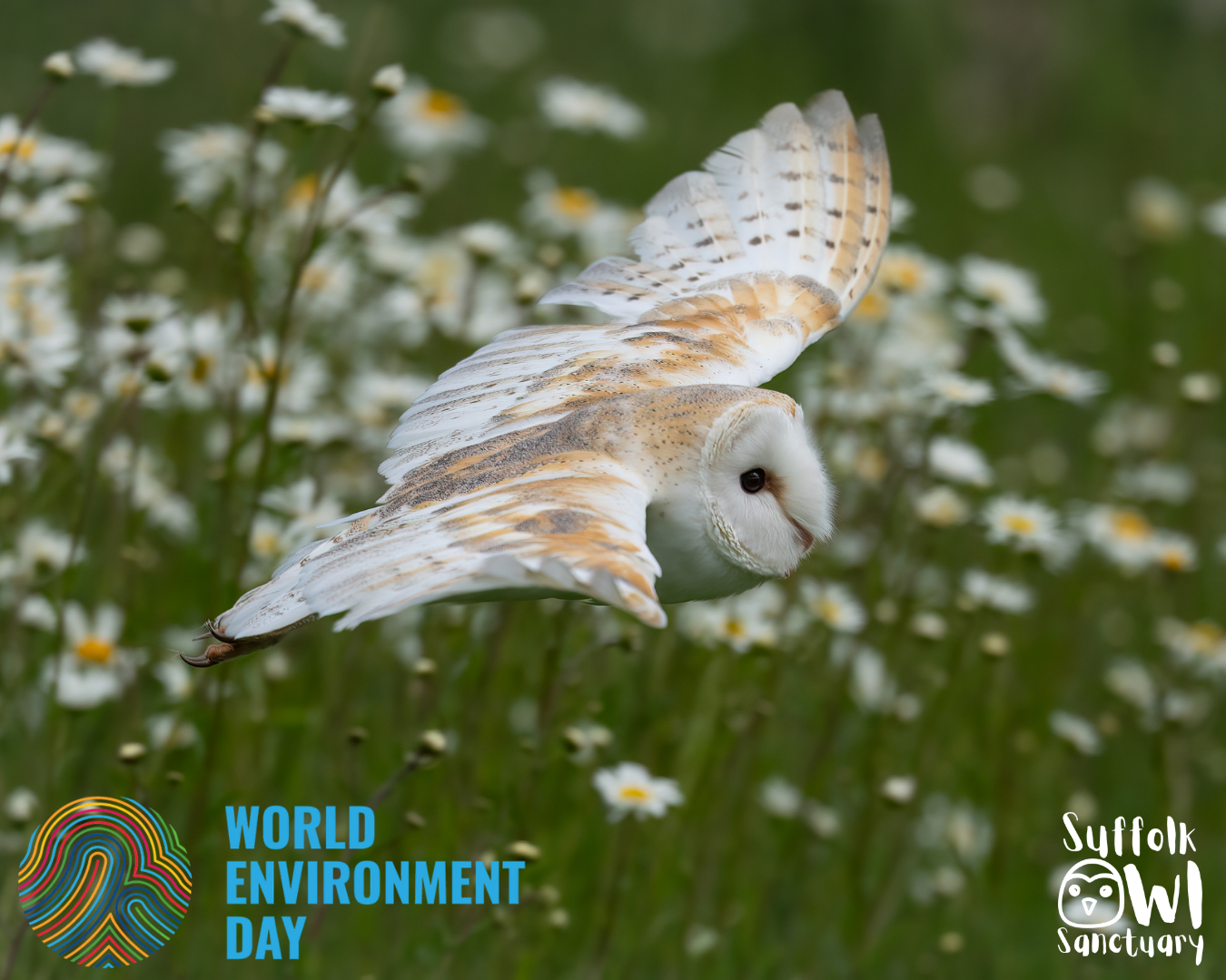 World Environment Day 2026: Climate Change and Our Shared Future