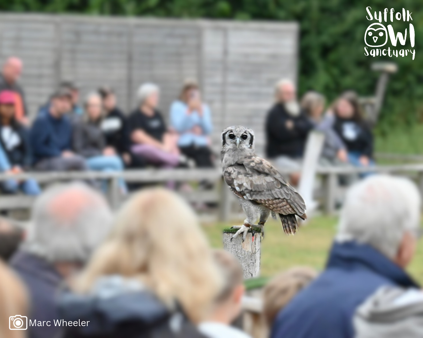 Celebrating National Zoo Awareness Day: Why Zoos and Wildlife Conservation Matter
