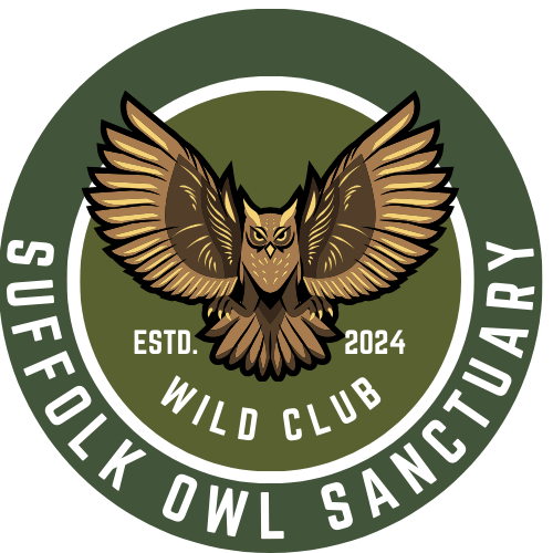 A logo featuring an owl with outstretched wings in the center, with the text 'Wild Club' and 'Suffolk Owl Sanctuary', established 2024, on a green circular background.