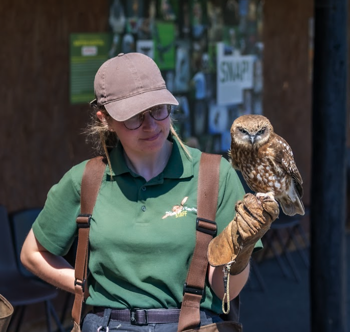 A woman wearing glasses, a green polo shirt, and a brown cap holding an owl on her gloved hand at an educational or wildlife center.