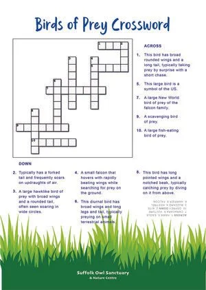 Birds of Prey crossword puzzle with clues and answers, set against a green grassy background at the bottom.