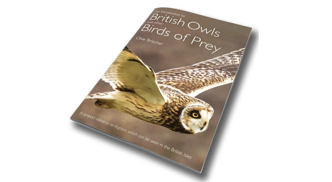 British Birds of Prey Book Cover.png