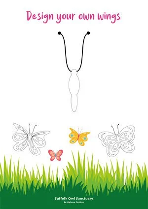 A coloring activity page titled 'Design your own wings' featuring outline drawings of three different butterfly wings above green grass, with the Suffolk Owl Sanctuary logo at the bottom.