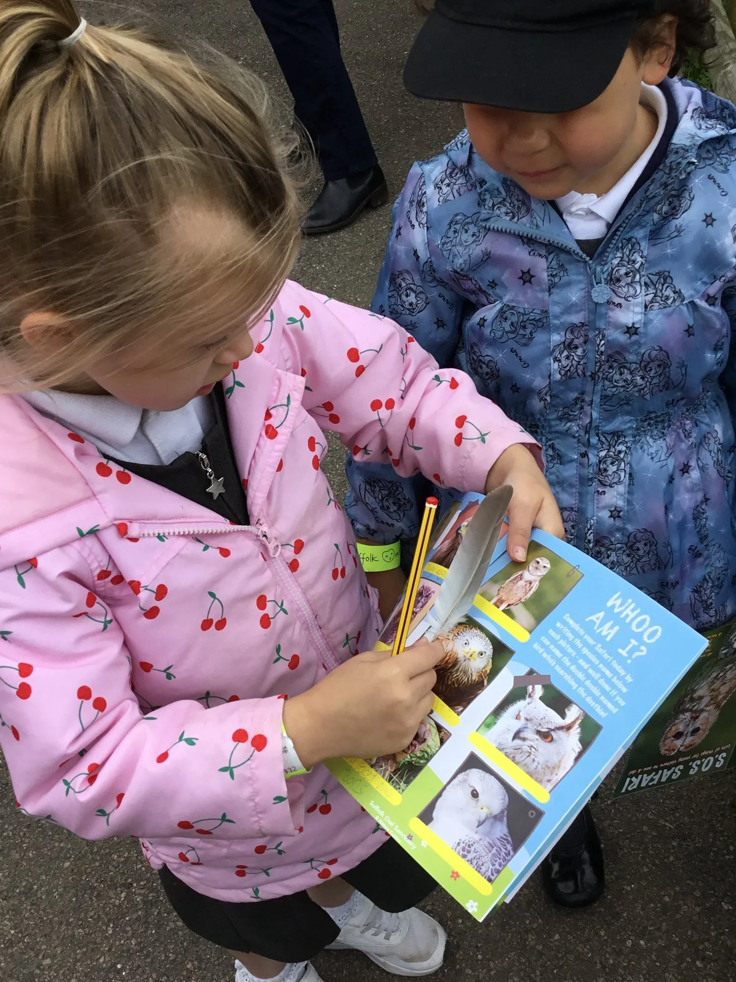Two young children looking at a colorful booklet about owls with pictures of different owl species, outside on a paved surface.