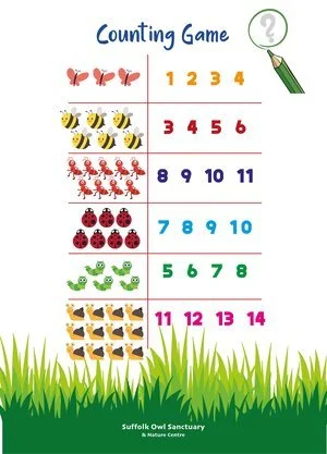 Counting game with illustrations of ants, bees, crabs, ladybugs, snails, and fish, each with numbered options for counting.
