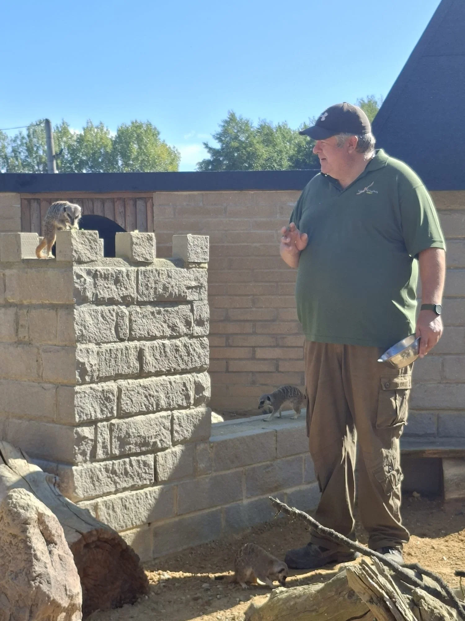 A man standing outdoors near a brick enclosure with a raccoon on top of the structure and another raccoon on the ground nearby. The man appears to be feeding or interacting with the animals.