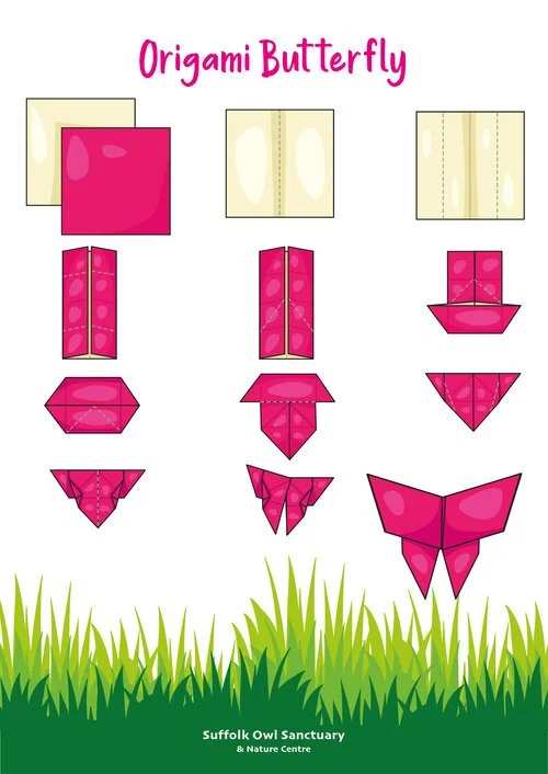Step-by-step instructions for creating origami butterflies, showing folding stages with pink and cream paper against a grassy background.