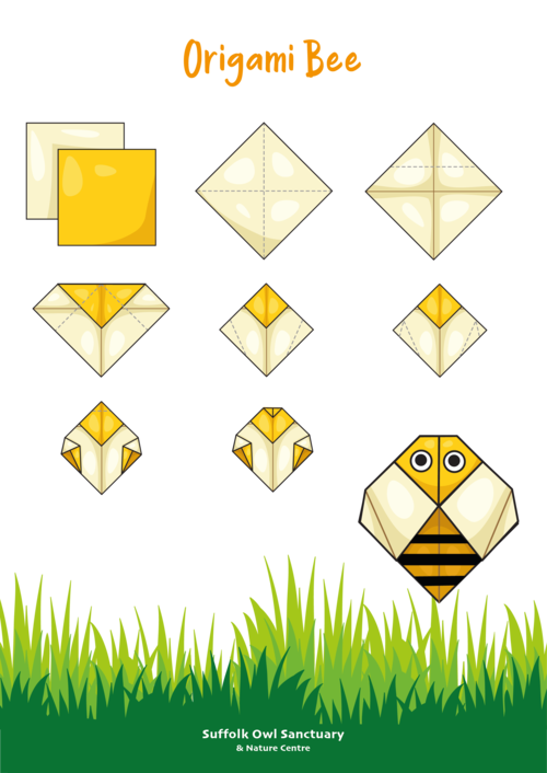 Step-by-step guide on how to make a paper bee craft with illustrated images, including folding paper and creating details, with a bee mascot at the bottom and text for Suffolk Owl Sanctuary & Nature Centre.