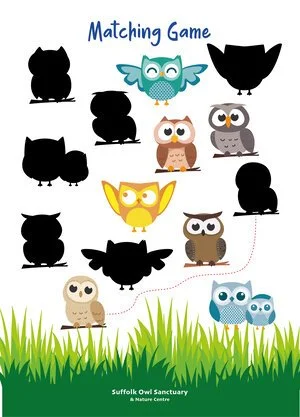 Matching game with various owl silhouettes and colored owl illustrations at the bottom, titled 'Matching Game' at the top, set against a grassy background.