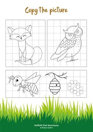Four cartoon-style line drawings of animals and a bee, including a fox, an owl, a bee, and a beehive with honey, on a grid background.