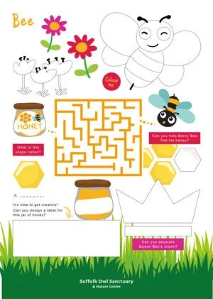 A children’s activity sheet featuring a bee, flowers, honey jars, a maze, and a bee character with a crown. The sheet includes questions about bee shapes, honey, and Queen Bee's crown, with spaces for children to answer and draw.